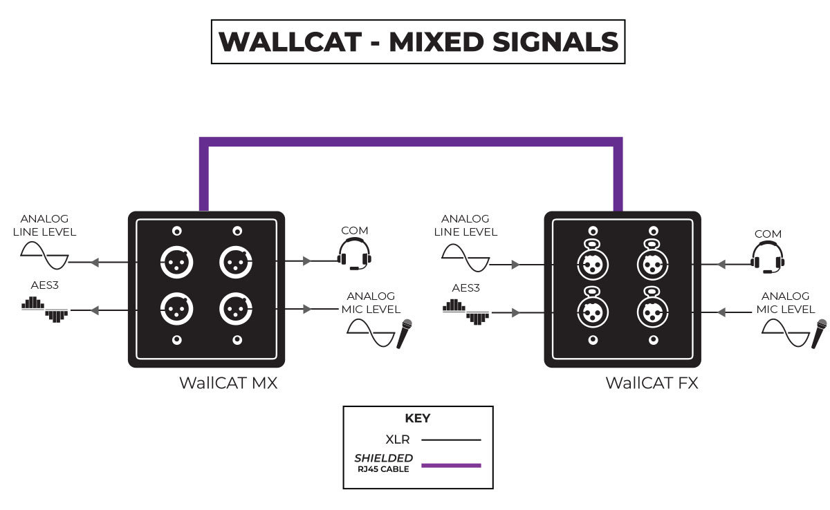 WallCAT Mixed Signals